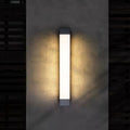 Eleza LED Wall Light Minimalist Linear Design Acrylic Shade - 45cm