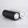 Carly White LED Surface Mounted Downlight Dimmable LED - White Down light L200mm