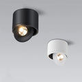 Paulina Surface Mounted Downlight 9W to 24W Rotatable - Black