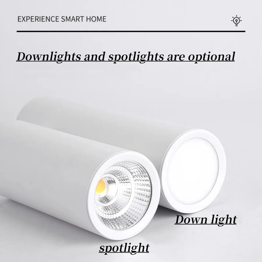 Carly White LED Surface Mounted Downlight Dimmable LED - White Down light L200mm