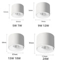 Paulina Surface Mounted Downlight 9W to 24W Rotatable - White