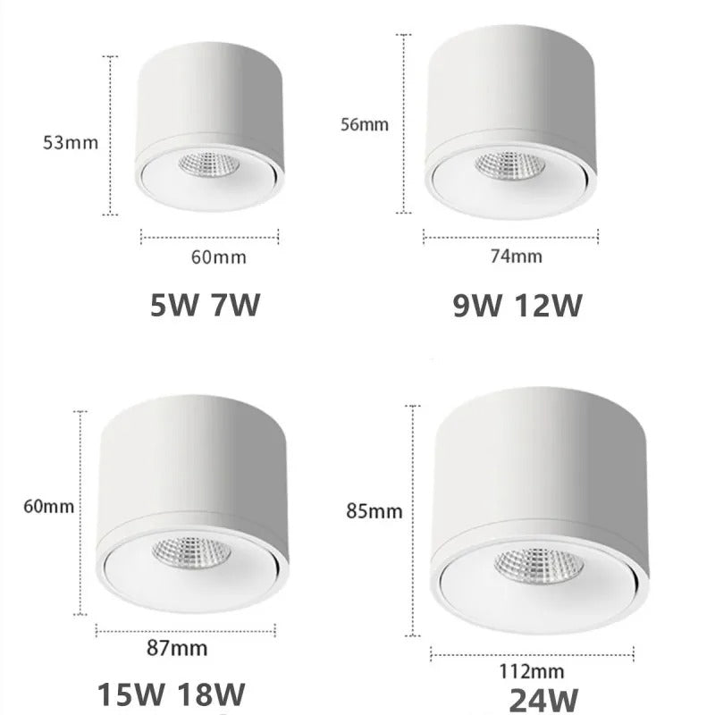 Paulina Surface Mounted Downlight 9W to 24W Rotatable - White