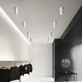 Carly White LED Surface Mounted Downlight Dimmable LED - White Down light L200mm
